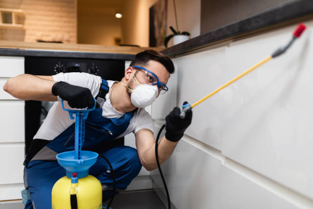 Best Local Pest Control Services  in Cedar Mill, OR