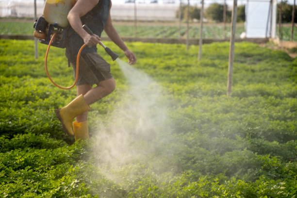 Best Wildlife Control Services  in Cedar Mill, OR