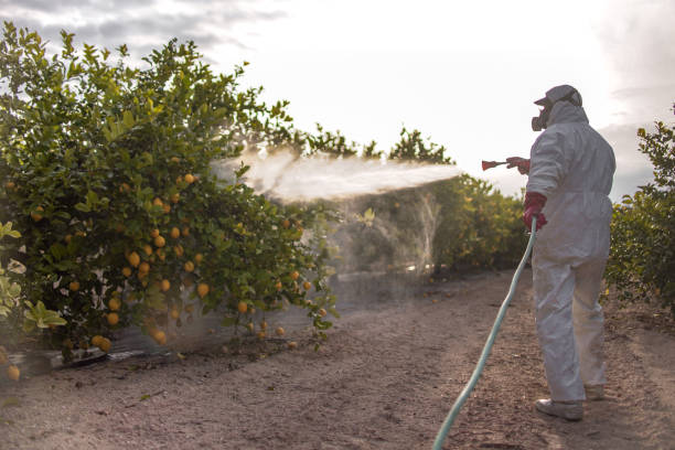 Best Insect Control  in Cedar Mill, OR
