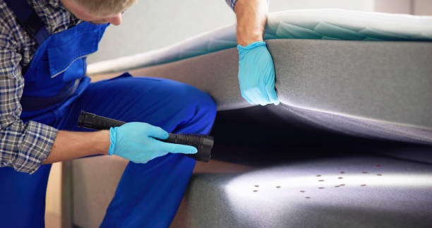 Best Bed Bug Extermination  in Cedar Mill, OR