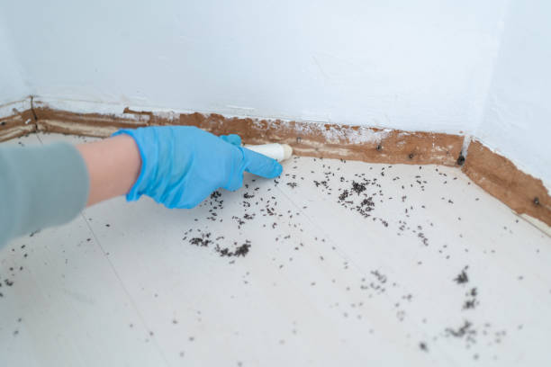 Best Pest Removal Services  in Cedar Mill, OR