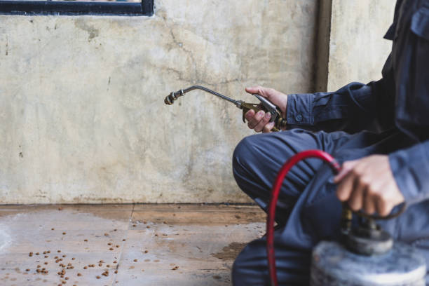Best Pest Control Near Me  in Cedar Mill, OR